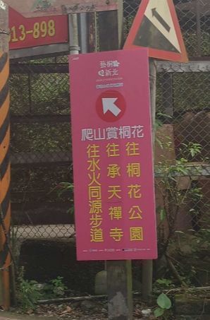 油桐花五月雪6.jpg